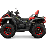 UPMOTO X MUD PRO 1000L EPS V-Twin T3b 30