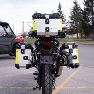 Mootorratas QJMOTOR SRT 800 SX