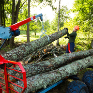 Log Grapple - Lifting Tongs