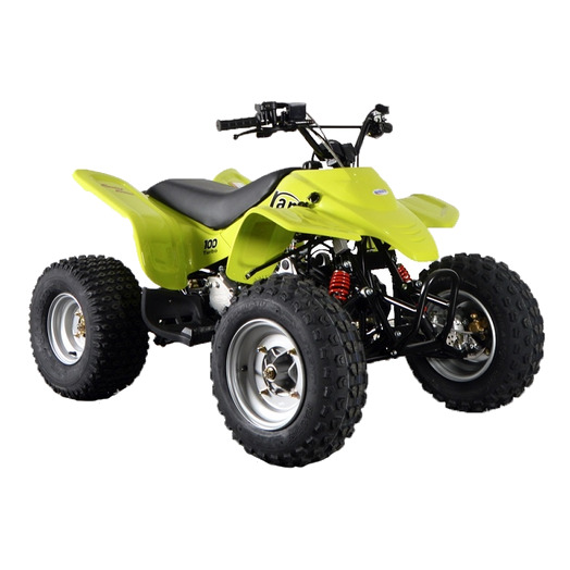 ATV lastele SMC BLA 100 ccm