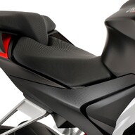 Mootorratas Aprilia RS 660, Tribute