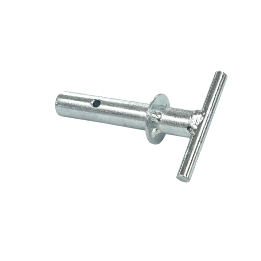 Pin for regulator