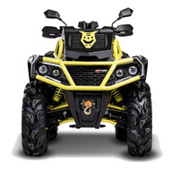 ODES MUD PRO 1000S EPS V-Twin T3b 30