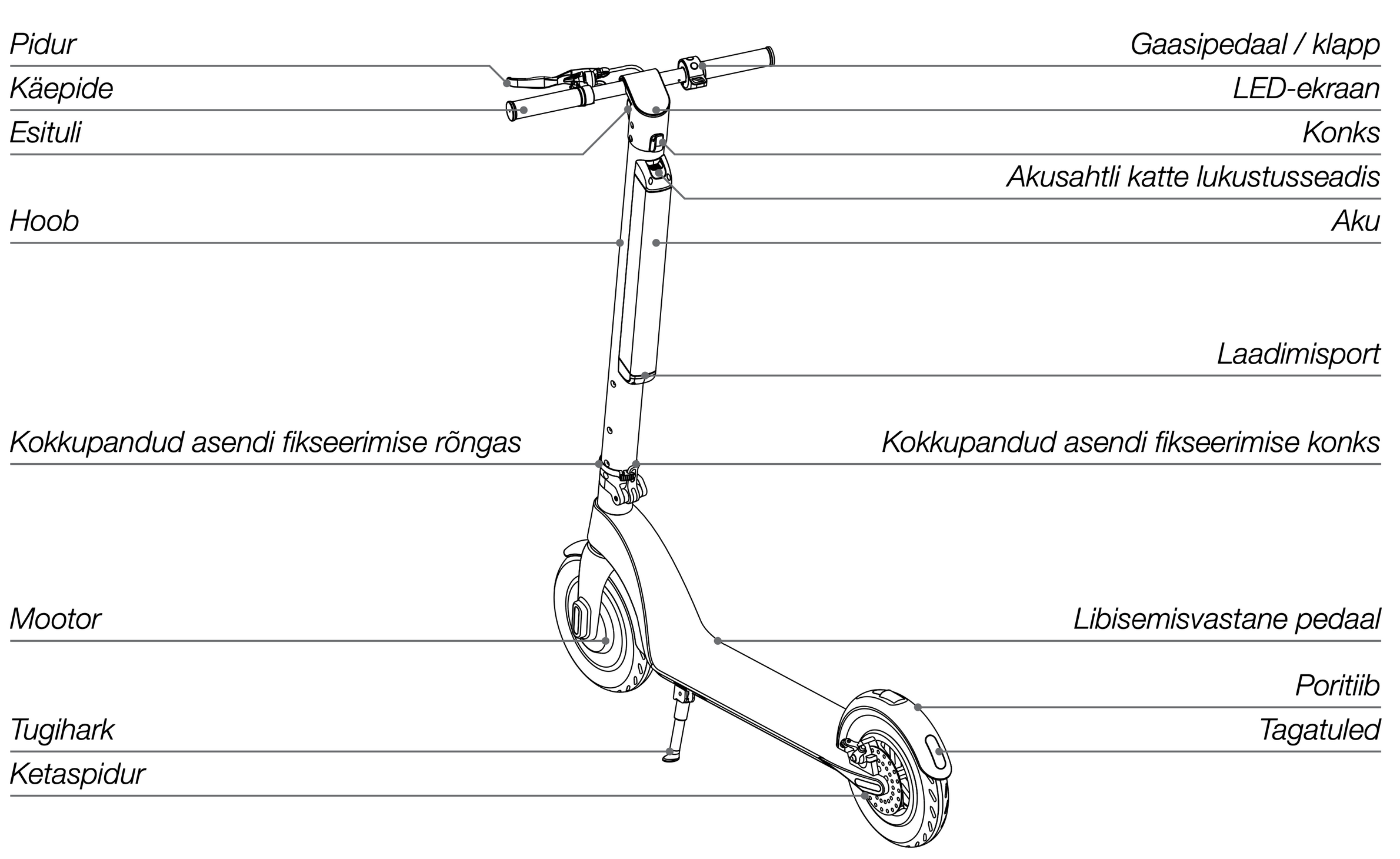 Pildid / - Velt Smart joonis